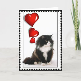 Cartão De Festividades Namorados de gato preto e branco