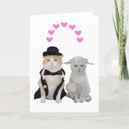 Cartão De Festividades Namorados de Gatos Bonito e Engraçado Personalizáv