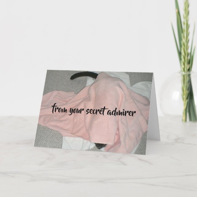 Cartão De Festividades Namorados do Almirante Secreto do Gato (Frente)