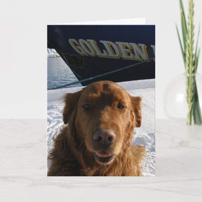 Cartão De Festividades Namorados do golden retriever (Frente)