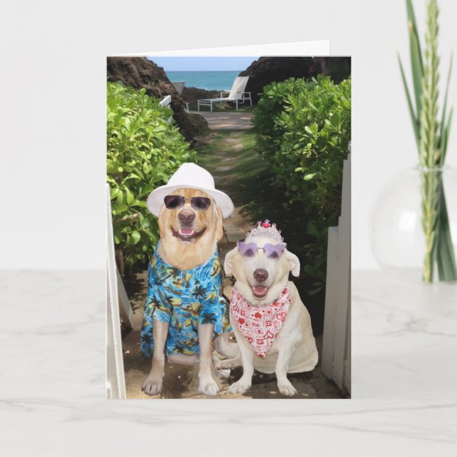 Cartão De Festividades Namorados Engraçado/Cachorro (Frente)