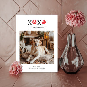Cartão De Festividades Namorados Fotográficos de Cachorro Engraçados do X