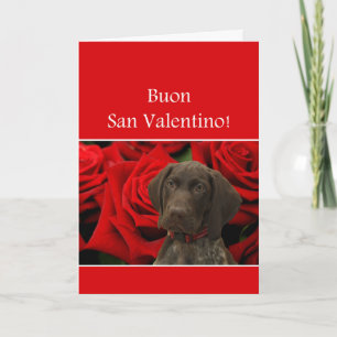 Cartão De Festividades Namorados Glossy Grizzly de San Valentino Italiano
