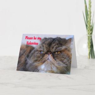 Cartão De Festividades Namorados Humor Calico - Placa de Gatinho Persa