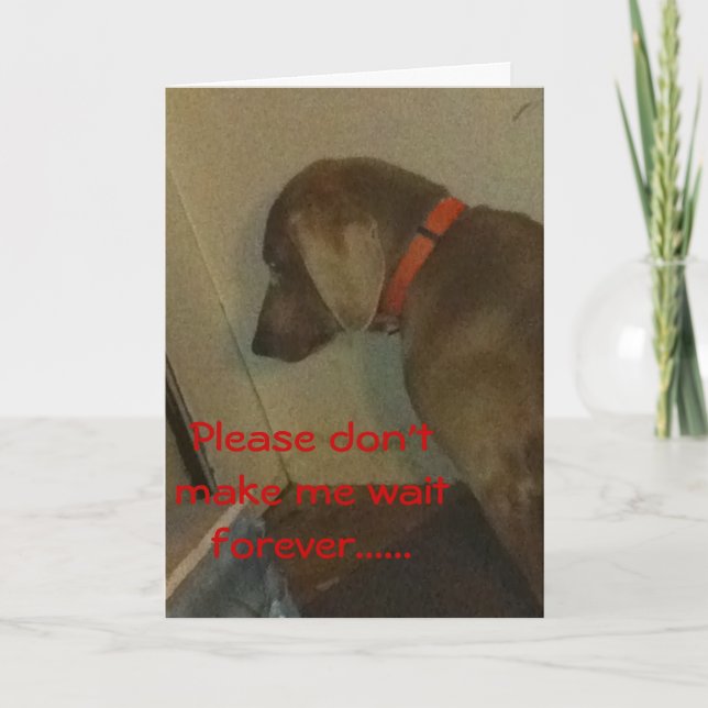 Cartão De Festividades Namorados Weimaraner (Frente)