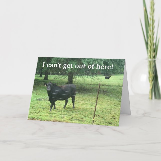 CARTÃO DE FESTIVIDADES NÃO POSSO SAIR PARA DIZER "ANIVERSÁRIO FELIZ" EM P (Frente)