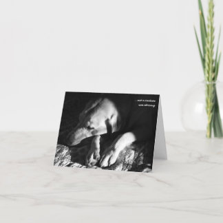 Cartão De Festividades … não uma criatura estava agitando