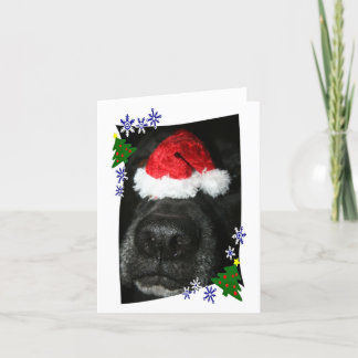 Cartão De Festividades Nariz de cão que veste o chapéu do papai noel,