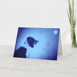 Cartão De Festividades Natal 2005