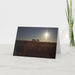 Cartão De Festividades Natal 2008 de OMRH