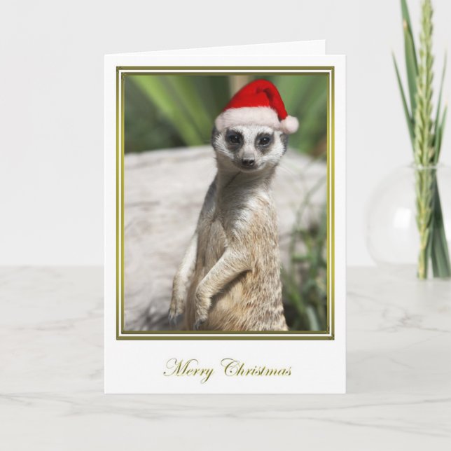 Cartão De Festividades Natal 4 de Meerkat (Frente)
