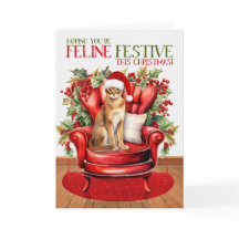 Natal Abissínia Gato FELINE Festivo