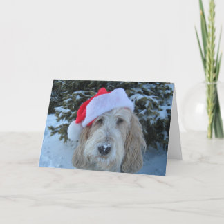 Cartão De Festividades Natal alegre de GBGV