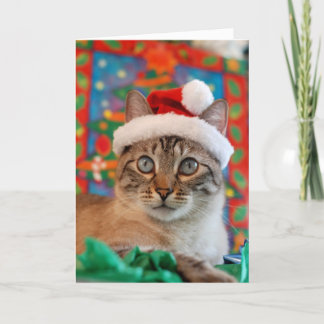 Cartão De Festividades Natal alegre de Meowy do papai noel do gatinho!