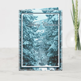Cartão De Festividades Natal, Ano Novo, Férias - Árvores cobertas por nev