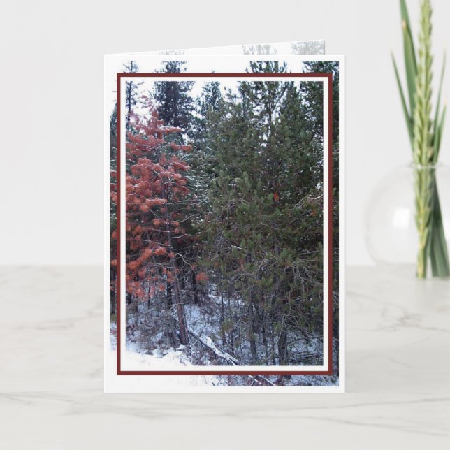 Cartão De Festividades Natal, Ano Novo, Férias - Vazio (Frente)