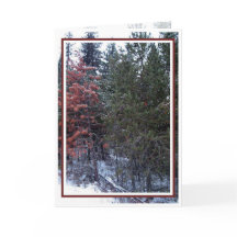 Natal, Ano Novo, Férias - Vazio