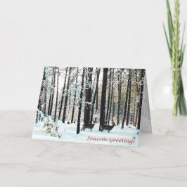 Cartão De Festividades Natal, Ano Novo, Férias - Veado