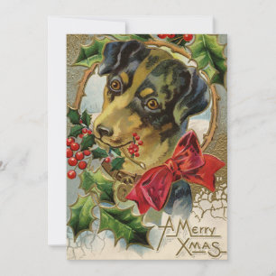 Cartão De Festividades Natal Antigo, Cachorrinho Dachshund com Azevinho