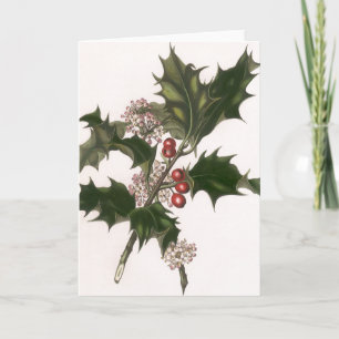 Cartão De Festividades Natal Antigo, Planta de Azevim com Bagas Vermelhas