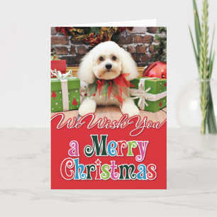 Cartão De Festividades Natal - Bichon Frise - Harry