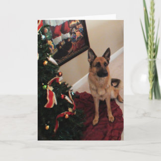 Cartão De Festividades Natal bonito do german shepherd