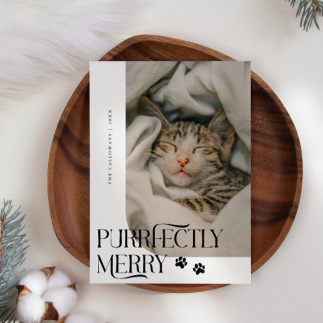 Cartão De Festividades Natal branco de fotografia de gato perfeitamente F (Criador carregado)