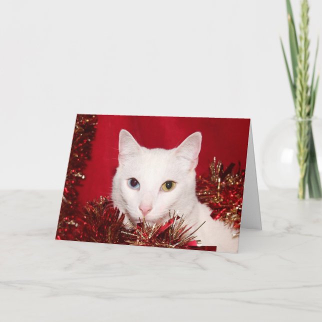 Cartão De Festividades Natal branco do gato (Frente)