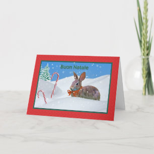 Cartão De Festividades Natal, Buon Natale, Italiano, Coelho, Neve