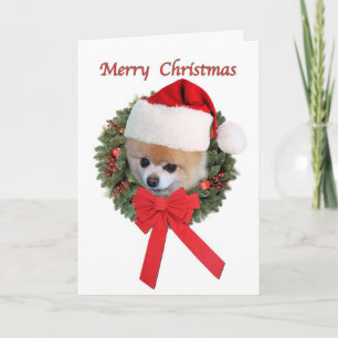 Cartão De Festividades Natal, Cachorro Pomerano, Chapéu Santa