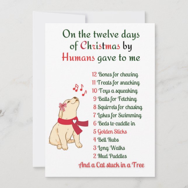 Cartão De Festividades Natal Canino,Cartão de Férias Cachorro (Frente)