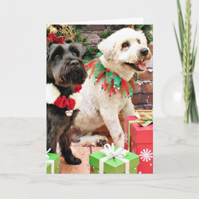 Cartão De Festividades Natal - capitão Wheaten - Schnauzer X Bentley (Frente)
