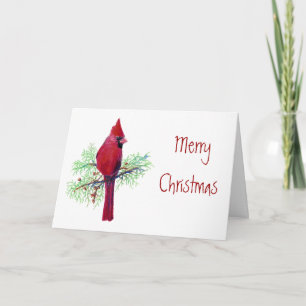 Cartão De Festividades Natal, Cardeal, Pássaro, Natureza-Pássaro, Vida 