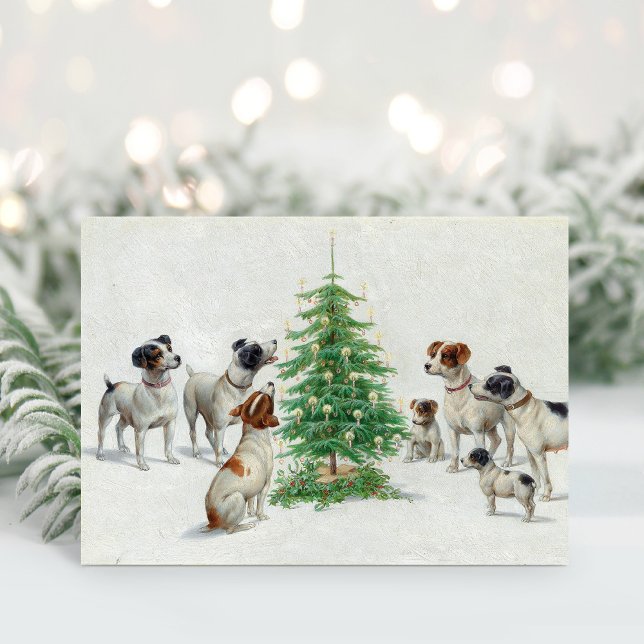 Cartão De Festividades Natal | Carl Reichert (Criador carregado)