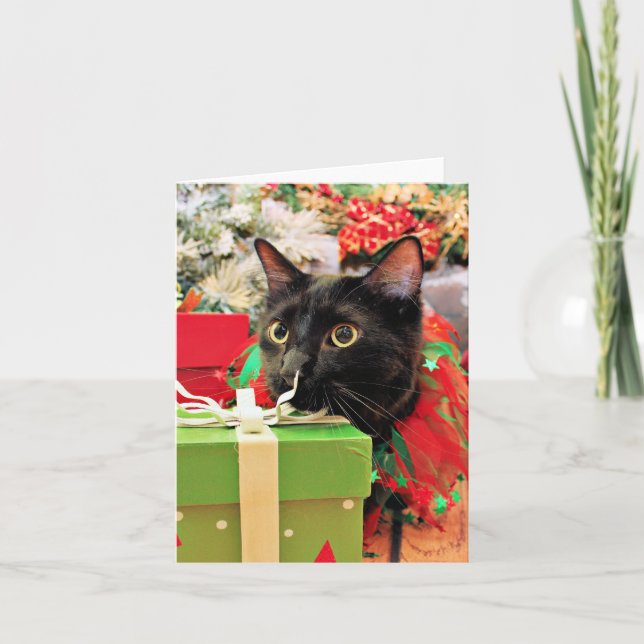 Cartão De Festividades Natal - Cat - Bentley (Frente)