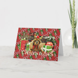 Cartão De Festividades Natal - Cavalier King Charles Spaniel - Meyers