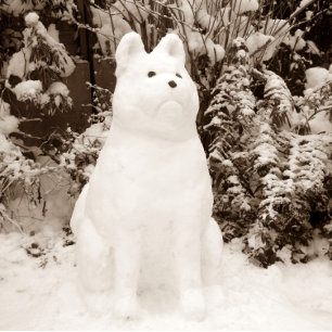 Cartão De Festividades natal cênico cênico de neve da akita snowman