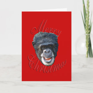 Cartão De Festividades Natal Chimpanzé