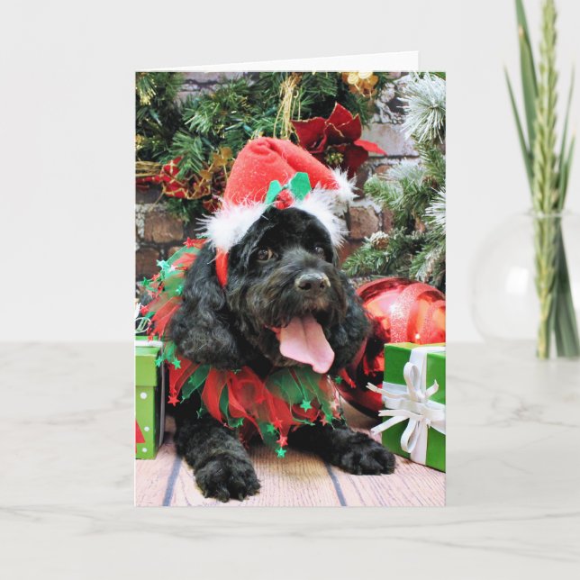 Cartão De Festividades Natal - Cockapoo - Jack (Frente)