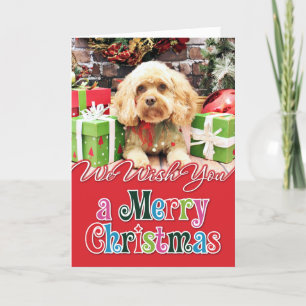 Cartão De Festividades Natal - Cockapoo - Morgan