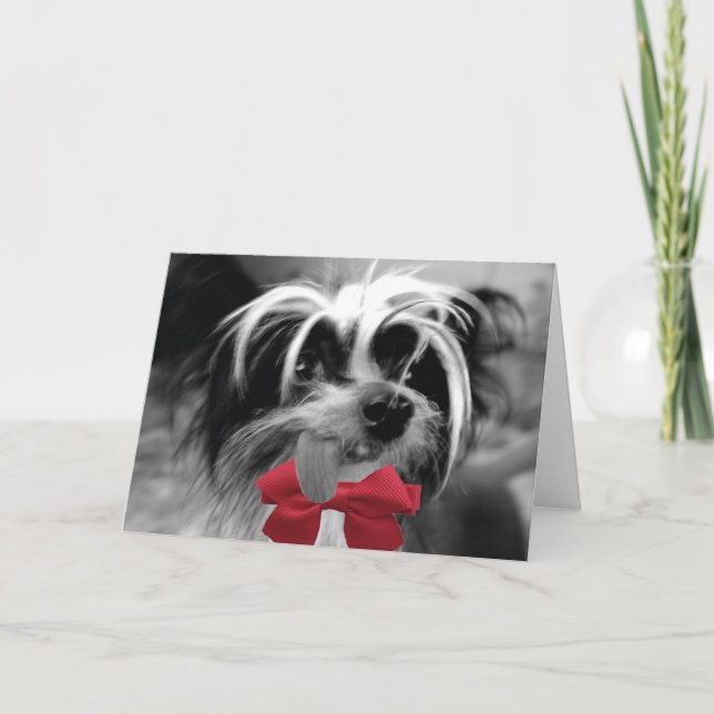 Cartão De Festividades Natal Crested (EU) (Frente)