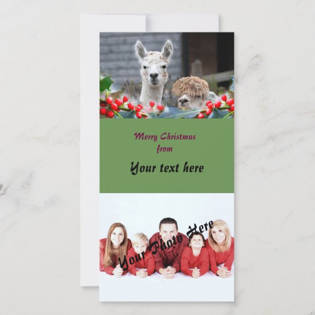Cartão De Festividades Natal da alpaca (Frente)