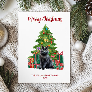 Cartão De Festividades Natal da família Black Cat