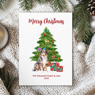 Cartão De Festividades Natal da família de cães pastores australiana