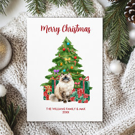 Cartão De Festividades Natal da família Ragdoll