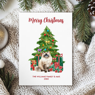 Cartão De Festividades Natal da família Ragdoll