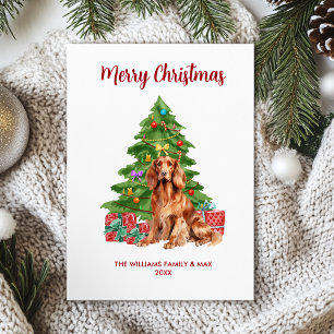 Cartão De Festividades Natal da família Red Setter Dog