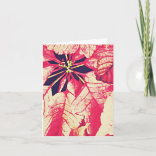 Cartão De Festividades Natal da flor da poinsétia