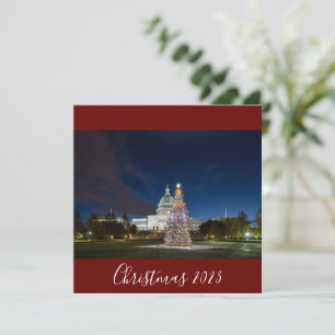 Cartão De Festividades Natal de 2023 na Árvore do Capitólio