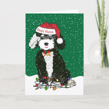 Natal de Bernedoodle Personalizado